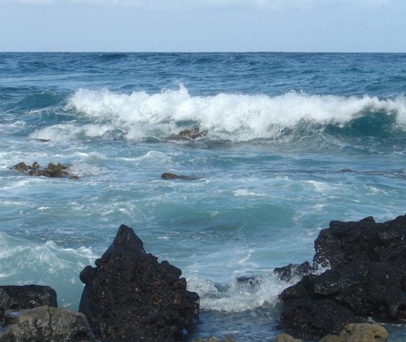 Northwest Hawaiian Islands Marine Sanctuary